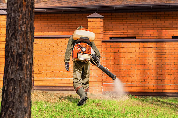 Trusted Ant Control service in Bridgeport, PA - Nex Pest Control